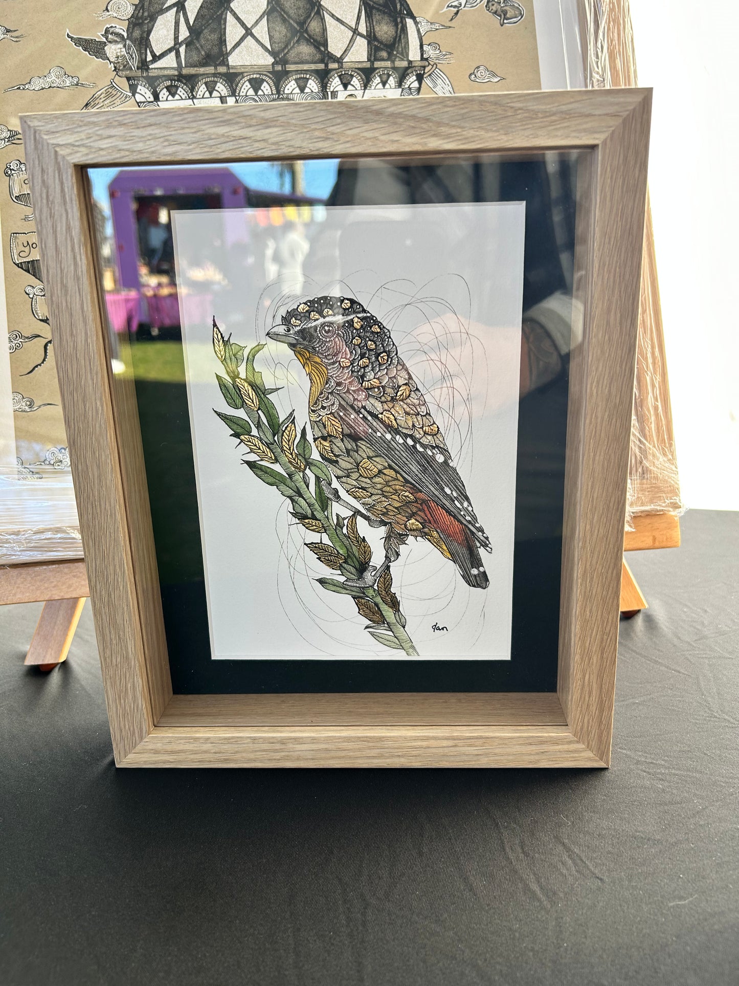 Little Bird